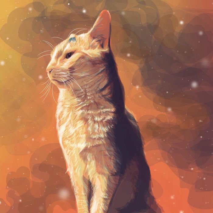 Animals In Space: My Vector Art Leaves People Questioning What The Medium Is