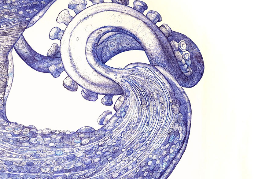 ballpoint-pen-drawing-octopus-raymond-cicin--3 ballpoint-pen-drawing-octopus-raymond-cicin--3
