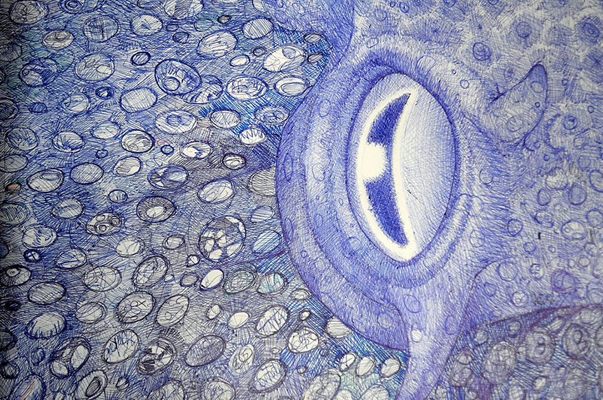 ballpoint-pen-drawing-octopus-raymond-cicin--4 ballpoint-pen-drawing-octopus-raymond-cicin--4