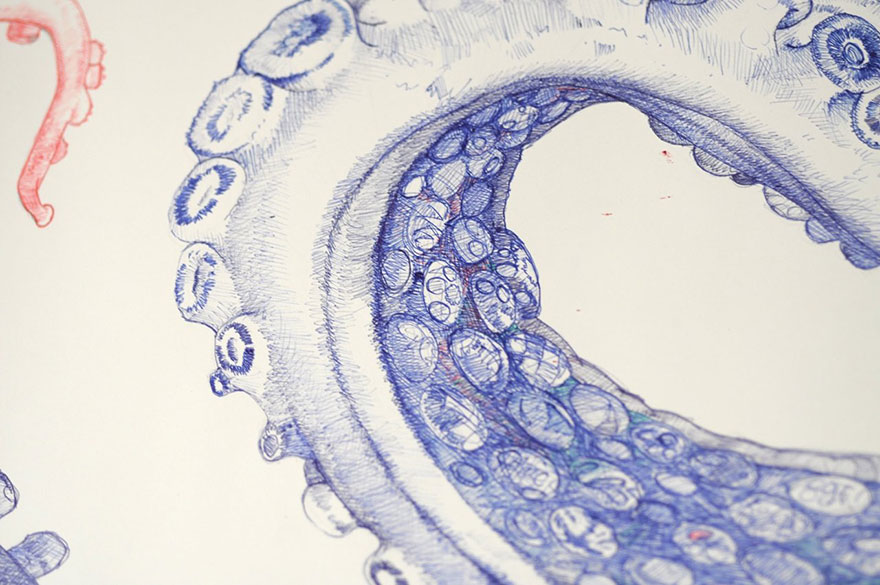 ballpoint-pen-drawing-octopus-raymond-cicin--5 ballpoint-pen-drawing-octopus-raymond-cicin--5