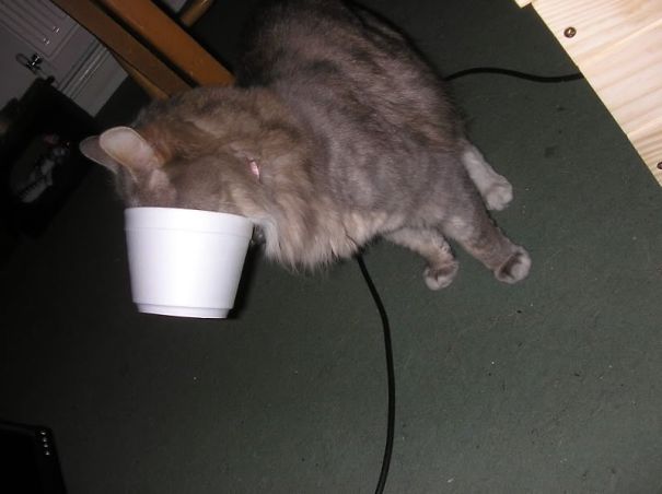 You Left Some Soup At The Bottom...i'll Get It.