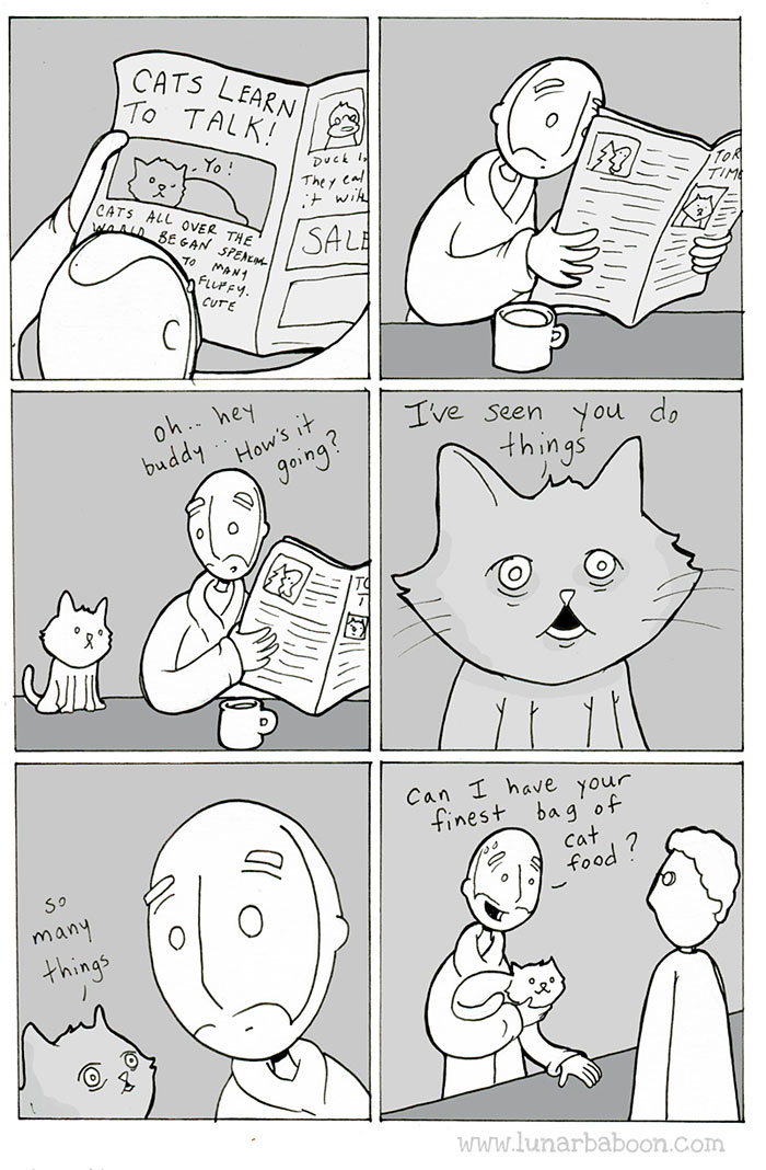Cat Comics
