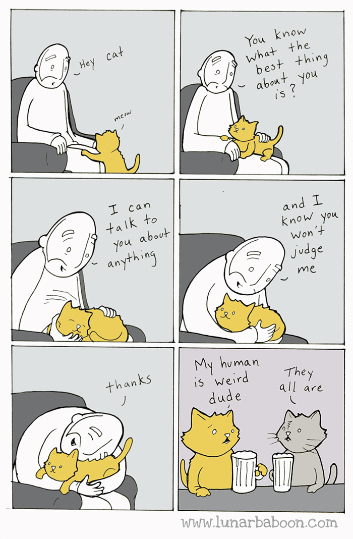 Cat Comics