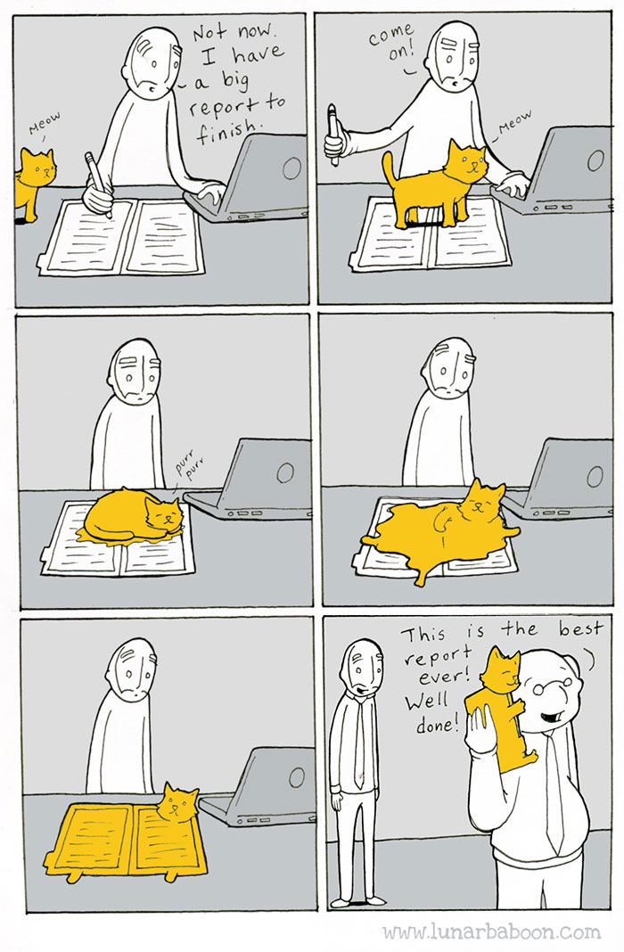 Cat Comics