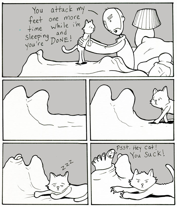Cat Comics