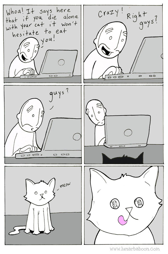 Cat Comics
