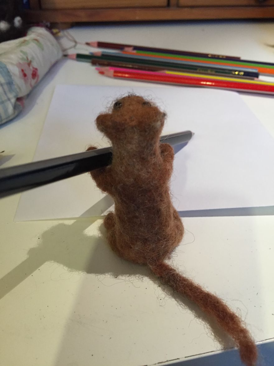 Copyright And Plagiarism As Explained By A Spectacled Bear And A Baby Weasel. Copyright And Plagiarism As Explained By A Spectacled Bear And A Baby Weasel.