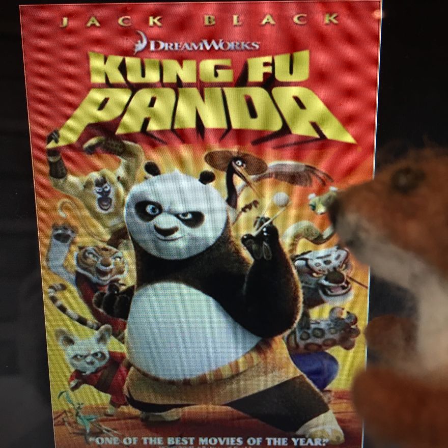 Copyright And Plagiarism As Explained By A Spectacled Bear And A Baby Weasel. Copyright And Plagiarism As Explained By A Spectacled Bear And A Baby Weasel.