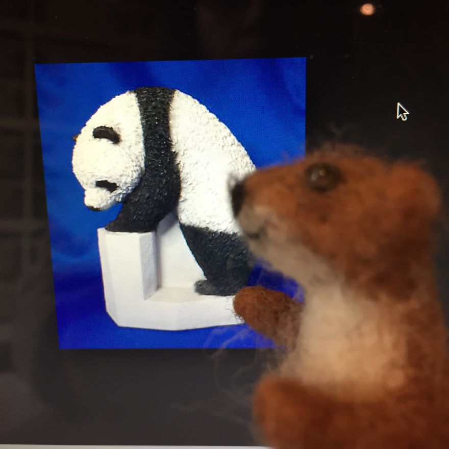 Copyright And Plagiarism As Explained By A Spectacled Bear And A Baby Weasel.