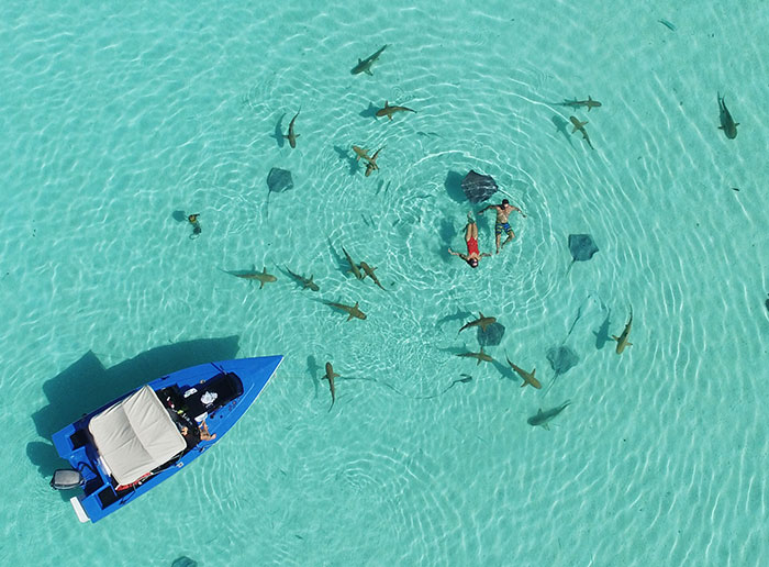 Lovers From Tahiti: Welcome To Our Paradise On Earth