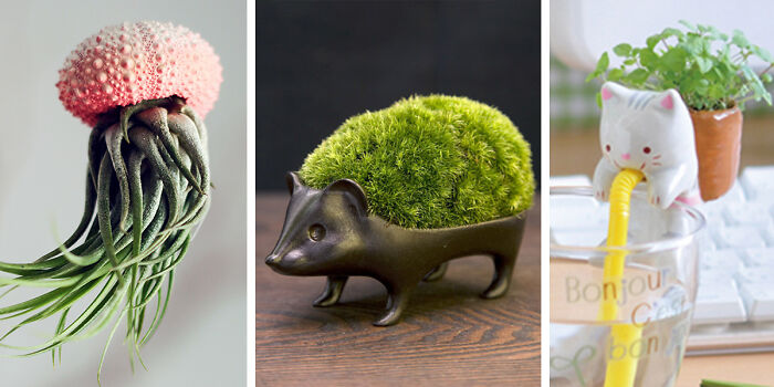 40 Of The Most Creative Planter Designs Ever