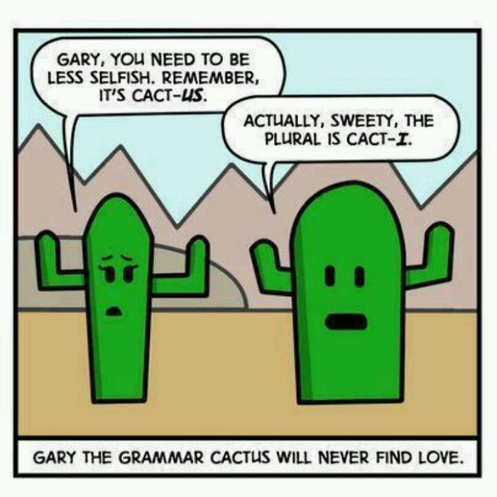Cacti..