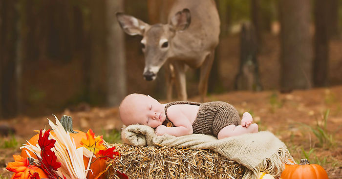 Deer Photobombs Baby’s Photoshoot And Turns It Into A Fairytale