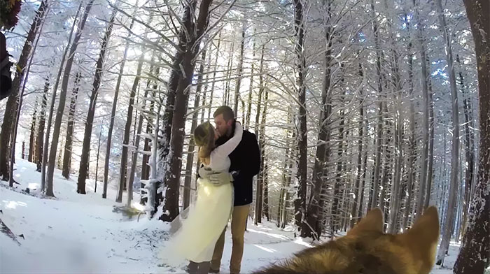 Couple Lets Their Dog Film Their Wedding And The Result Is Better Than Most Wedding Videos