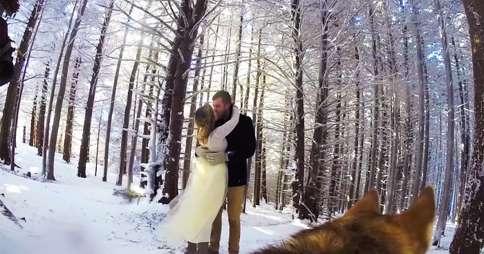 Couple Lets Their Dog Film Their Wedding And The Result Is Better Than Most Wedding Videos