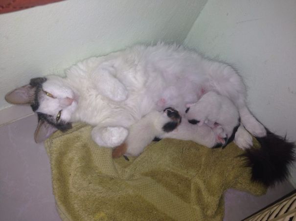 The Sweetest Thing..