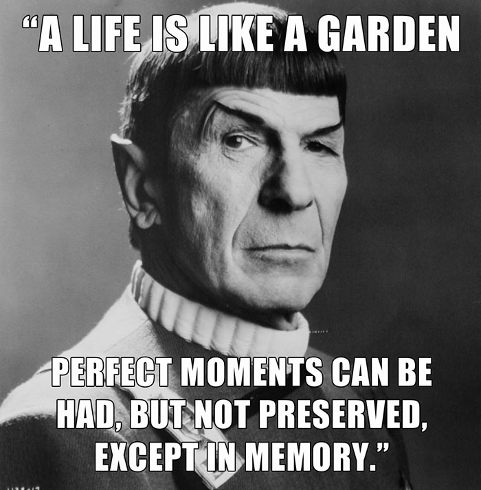 Leonard Nimoy's last words spoken - "A LIFE IS LIKE A GARDEN PERFECT MOMENTS CAN BE HAD, BUT NOT PRESERVED, EXCEPT IN MEMORY."