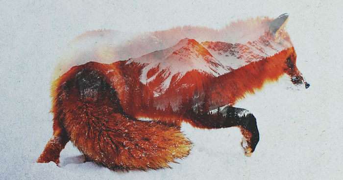 Double Exposure Portraits Of Wild Animals That Reflect Their Habitat