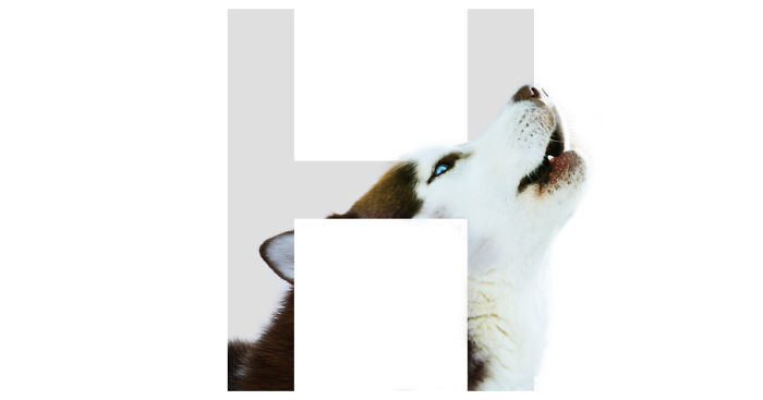 Dog Alphabet That I Made From The First Letters Of Their Breeds