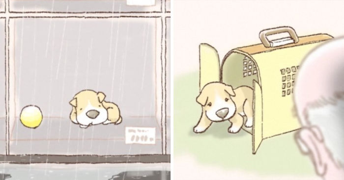An Illustrated Story Of One Sad Dog