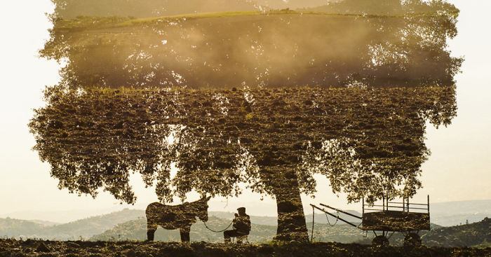 I Made These Multiple-Exposure Photos Without Digital Manipulation