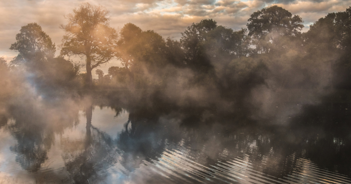 I Captured These Double Exposure Landscapes Using Only My Camera