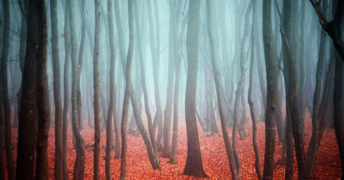 Waking Up At 7 AM On A Saturday Morning Was Worth It