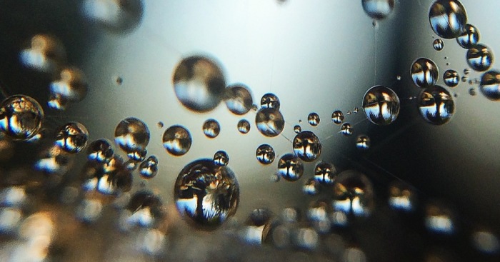 I Photograph Dewdrops That Look Like Miniature Multiverses