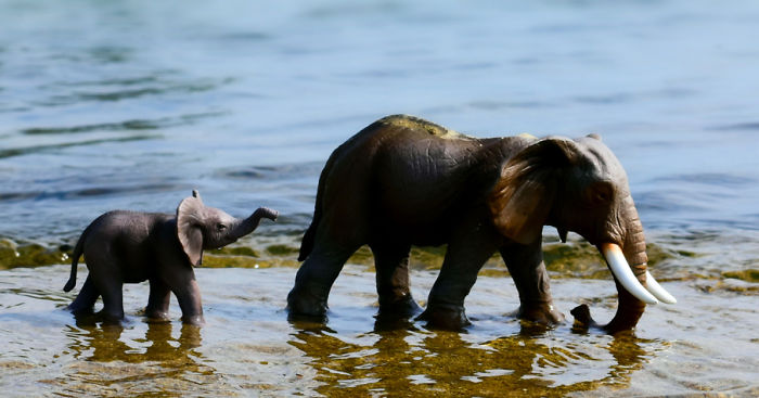 I Make Toy Animals Look Real To Help Prevent Their Extinction