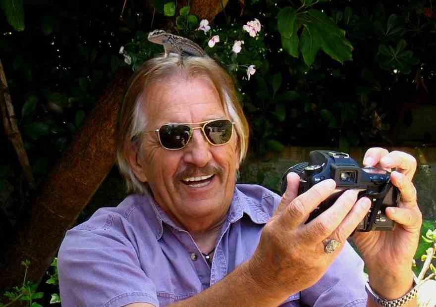 King Of The Mountain