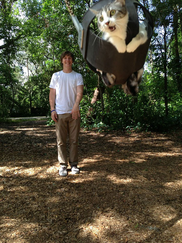 My Friend Took His Cat To The Park Today