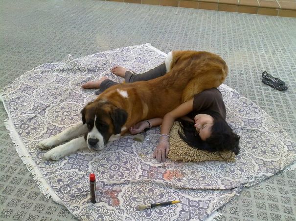 Nothing Like Help Mum To Rest