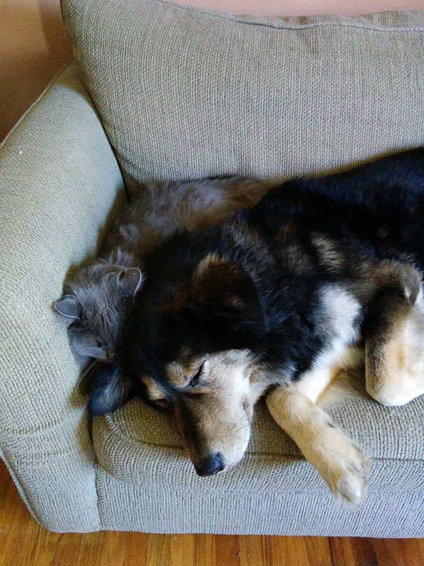 No Concept Of Personal Space