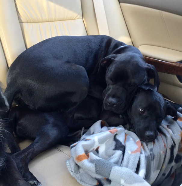 Oakley Doesn't Care About Personal Space