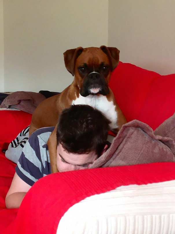 Personal Space With A Boxer? I Don't Think So