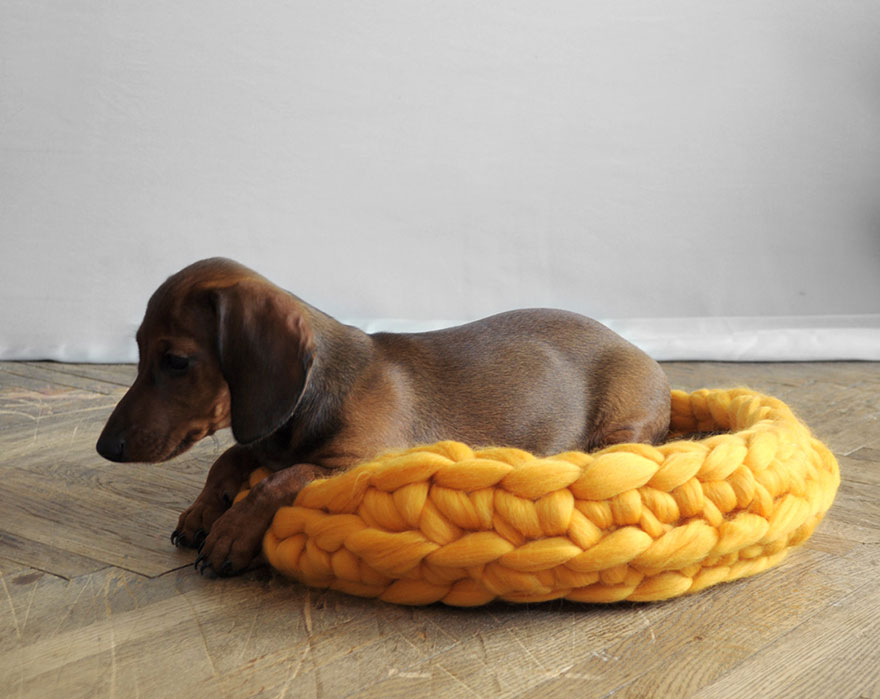 giant-chunky-knit-pet-beds-anna-mo-13 giant-chunky-knit-pet-beds-anna-mo-13