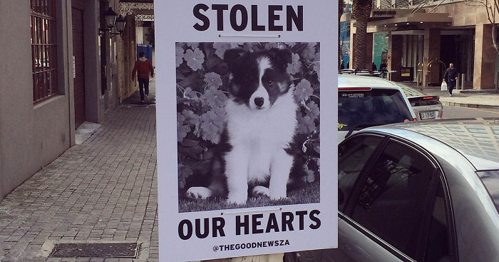 We Spread Good News Around Cape Town Because We’re Fed Up With Negative News