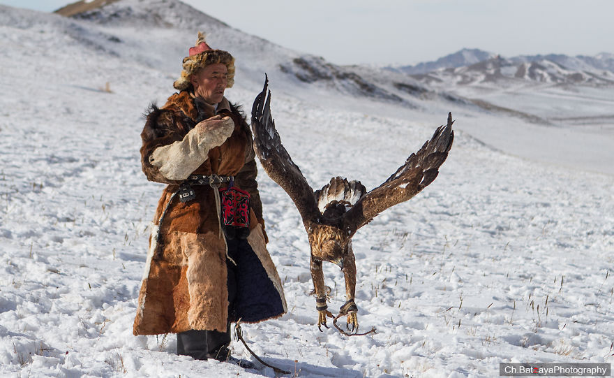 Hunting With Golden Eagles In Mongolia Hunting With Golden Eagles In Mongolia