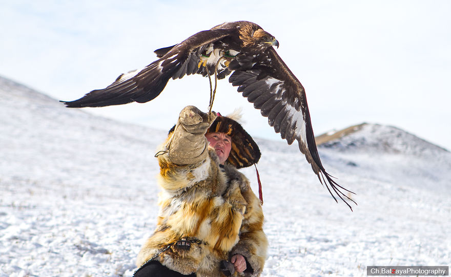 Hunting With Golden Eagles In Mongolia