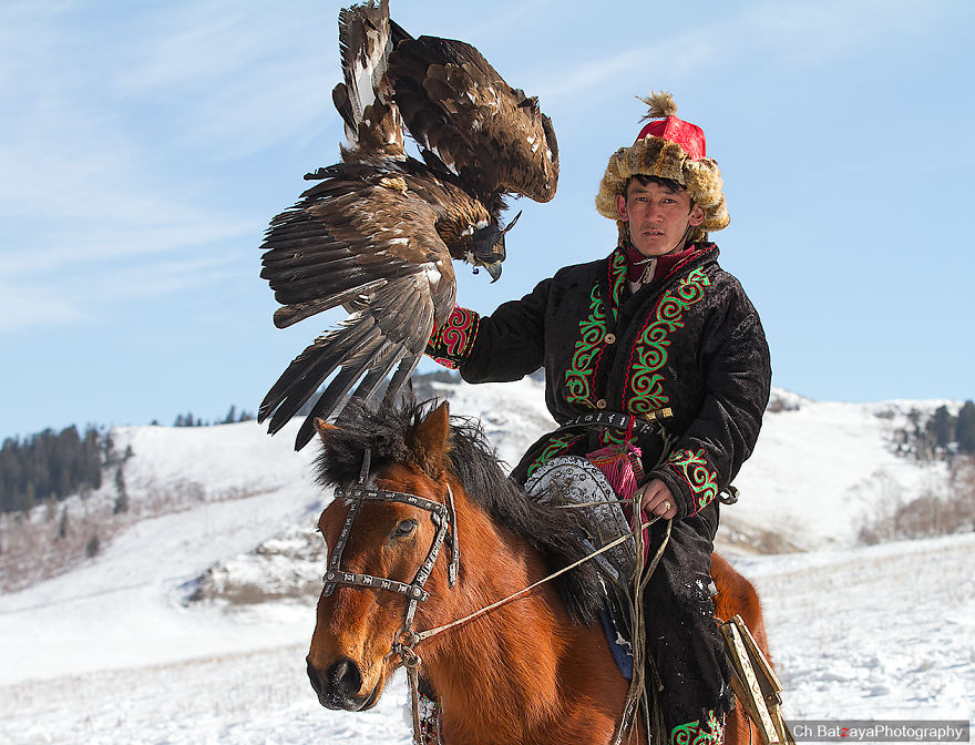 Hunting With Golden Eagles In Mongolia Hunting With Golden Eagles In Mongolia