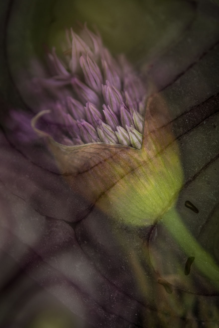 I Captured These Double Exposure Landscapes Using Only My Camera I Captured These Double Exposure Landscapes Using Only My Camera