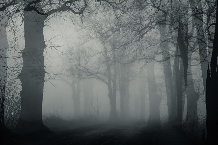 I Captured These Double Exposure Landscapes Using Only My Camera I Captured These Double Exposure Landscapes Using Only My Camera