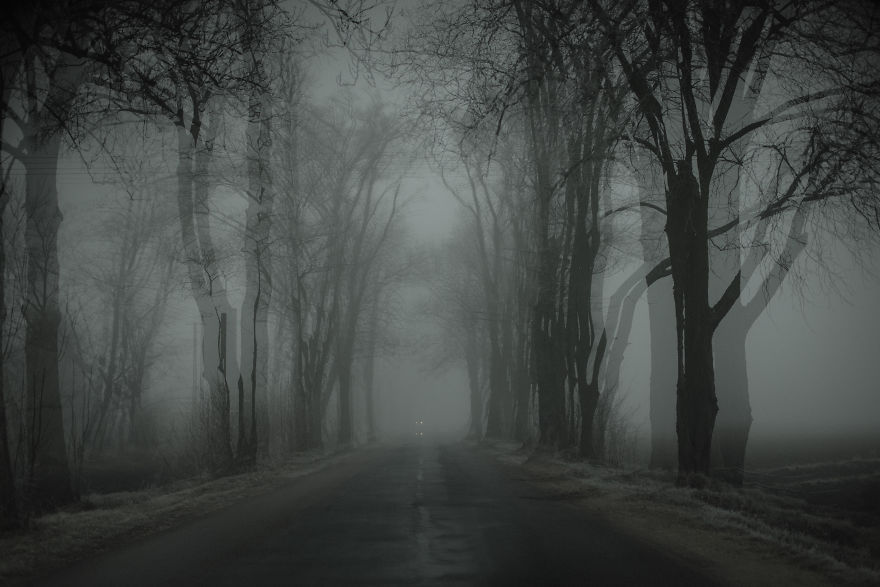 I Captured These Double Exposure Landscapes Using Only My Camera I Captured These Double Exposure Landscapes Using Only My Camera