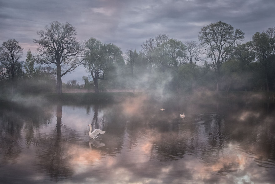 I Captured These Double Exposure Landscapes Using Only My Camera I Captured These Double Exposure Landscapes Using Only My Camera