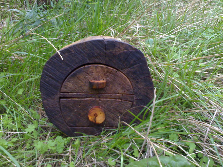 I Hand-Craft Wood Drawers That Look Like Trees To Escape Busy City Life I Hand-Craft Wood Drawers That Look Like Trees To Escape Busy City Life