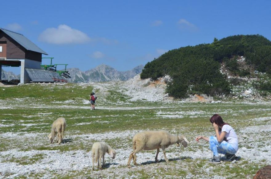 I Found It Amazing How Animals Can Change Your Life I Found It Amazing How Animals Can Change Your Life