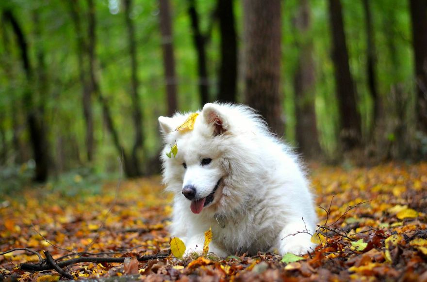 I Found It Amazing How Animals Can Change Your Life I Found It Amazing How Animals Can Change Your Life