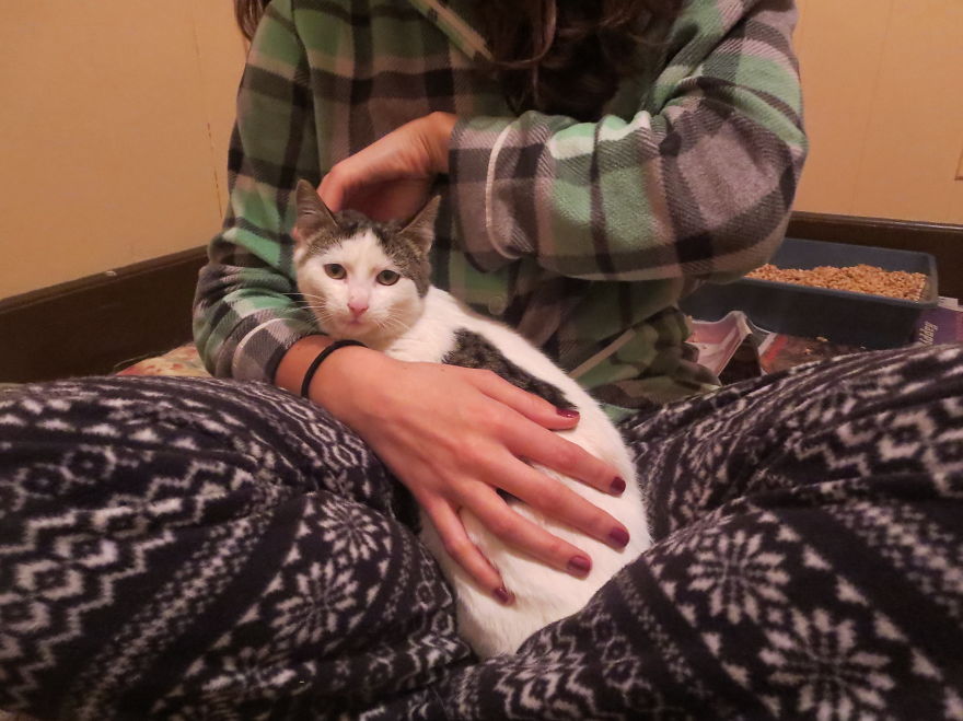 I Found Two Feral Kittens And Helped Them Start New Lives I Found Two Feral Kittens And Helped Them Start New Lives