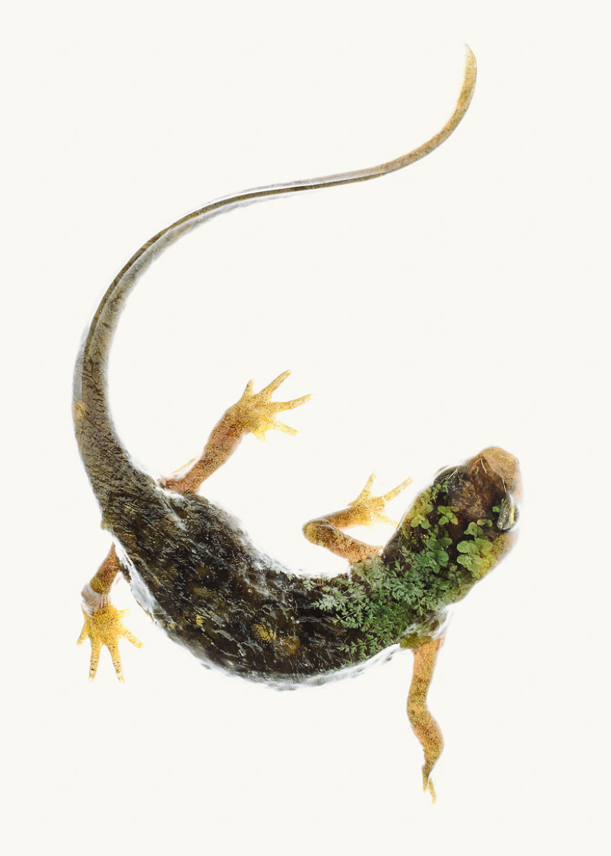 I Made These Multiple-Exposure Photos Without Digital Manipulation I Made These Multiple-Exposure Photos Without Digital Manipulation