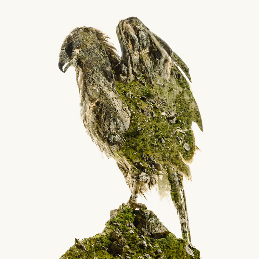 I Made These Multiple-Exposure Photos Without Digital Manipulation I Made These Multiple-Exposure Photos Without Digital Manipulation